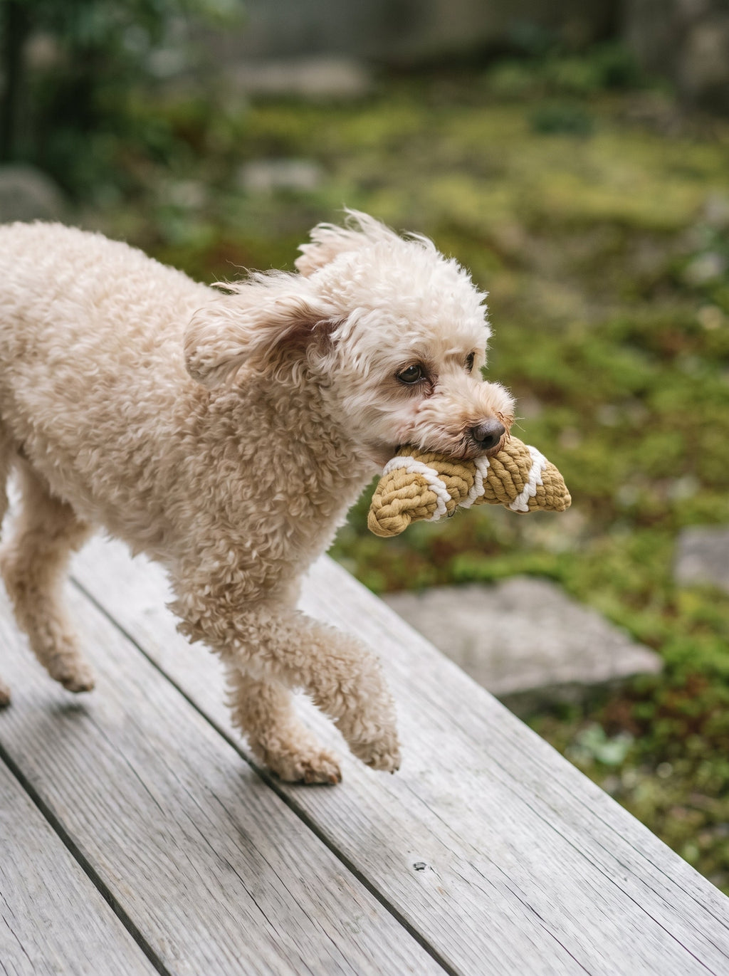Handcrafted Croissant Pet Toy