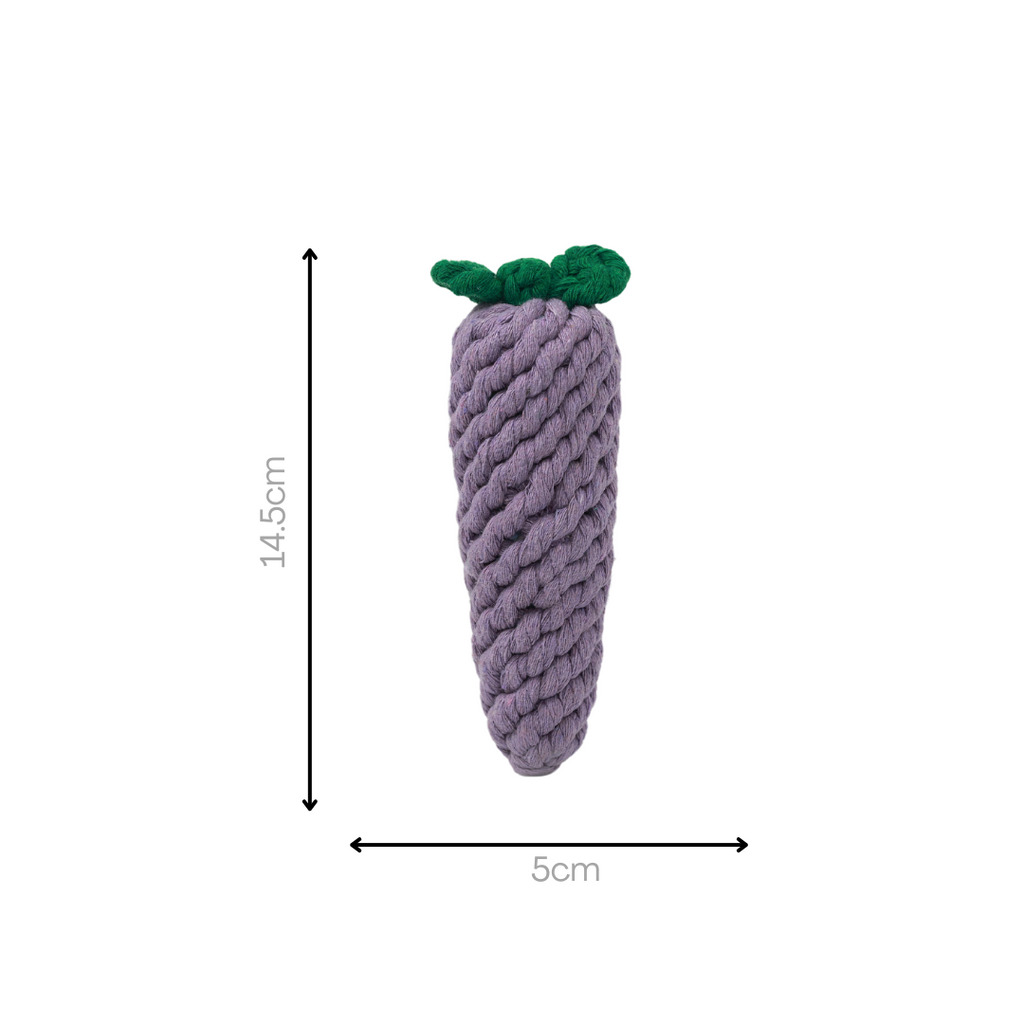 Handmade Eggplant Rope Toy