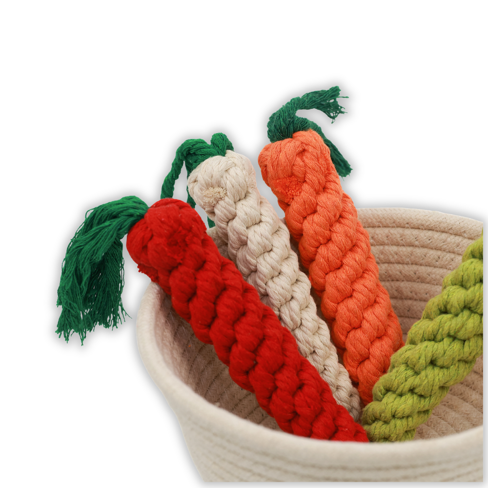 Palatable Carrot Rope Toys